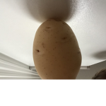 Join for the potatoes