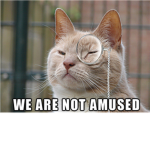 Not Amused