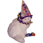 jester.png