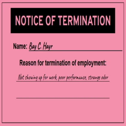 Pink Slip / Notice of Termination