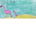 Flamingo Family <3