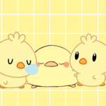 MEH DUCKS ONLY