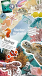 Marine biologists !