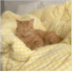 clouds softie