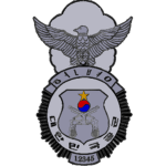 공군군사경찰단
