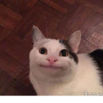 鴨仔團