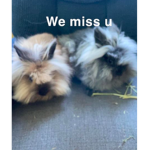 Smokey's Group