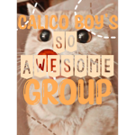 -Calico Boy Squad-