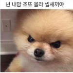 응릉 패밀리