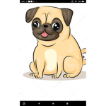 The Pug Fans!!