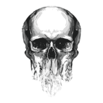 Arvitile