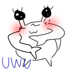 Koala Squid