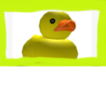 The EPIC duck boi
