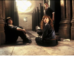 harry potter fans rule obby