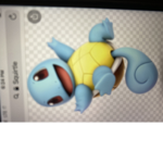 Squirtle nation