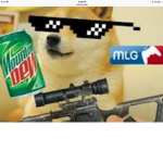 DOGE AND MLG