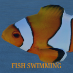 Fish swimming group
