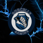 borcelle gaming