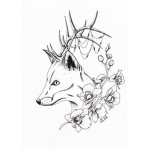 The Deer Foxes.