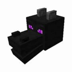THE ENDER DRAGON NATION