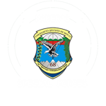 BA - Special Forces Brigade