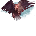 Blood Hawks United