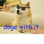 doge for real