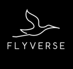 FlyVerse TM