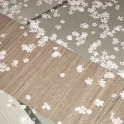 ⋆˚࿔