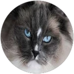 caption=Badge