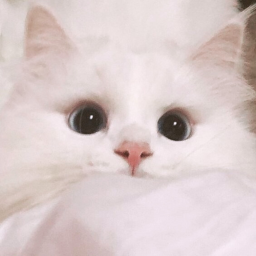 ♡
