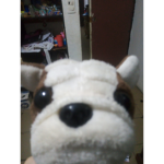 tu momi