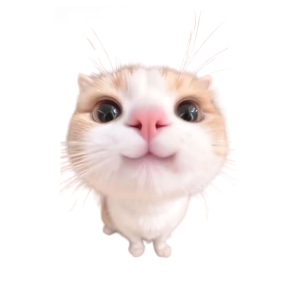 Silly Looking Cat Meme Cape Roblox item