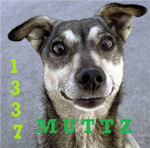 1337 Muttz