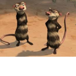 THE RAT BADDIE$