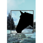 •River Side View Equestrian Center•