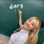** diary **
