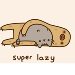 pusheen and sloth
