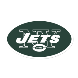(GFL) Metlife Stadium