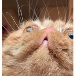 Hai! Welcome to my group!
