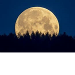 Twilight: A New Moon