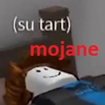 Su tart Works at Minecraft