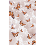 Simply aesthetic butterfly’s!