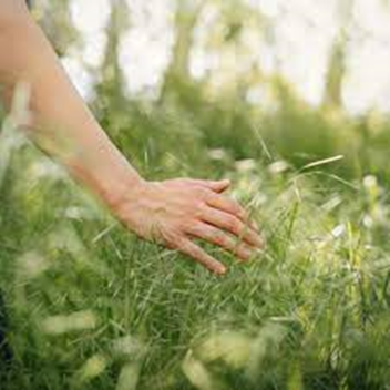 Go touch grass