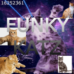 funky katz!