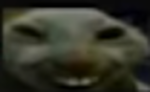 cult of the wamen face