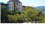 동래 초등학교