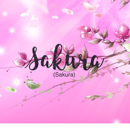 🌸Sakura🌸