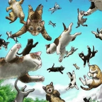 Happy cats happy days happy life