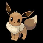Eevee friends!